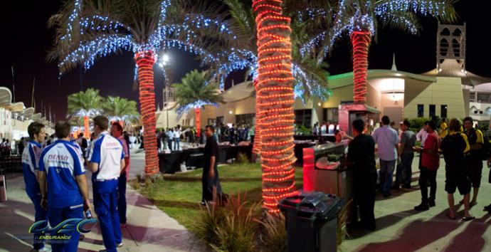 Party in the Paddock