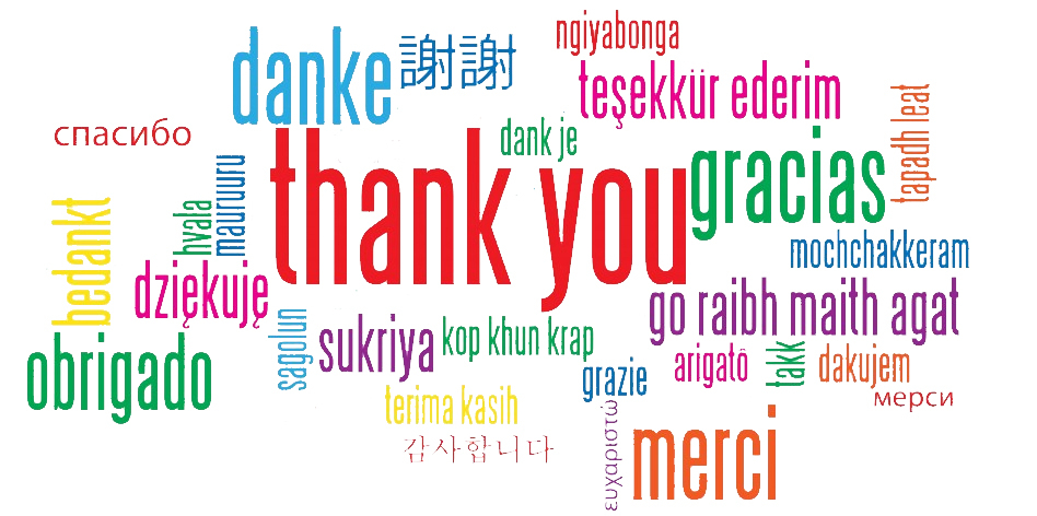 WEC Fan Survey now closed after great response – Thank You!