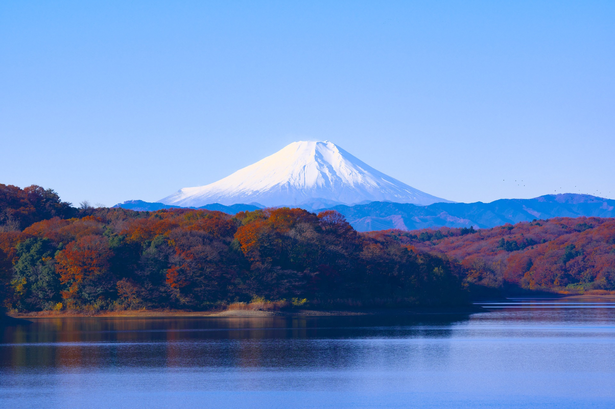 Did you know… 10 fun facts about Fuji!