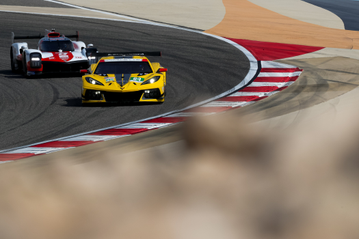 Bahreïn : les réactions après le Rookie Test