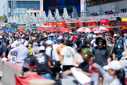 FIA WEC and Motorsport Network team up to launch global WEC fan survey