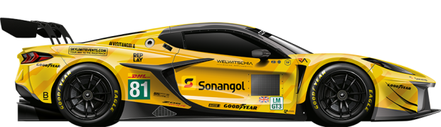 TF SPORT #81