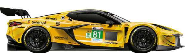 TF SPORT #81