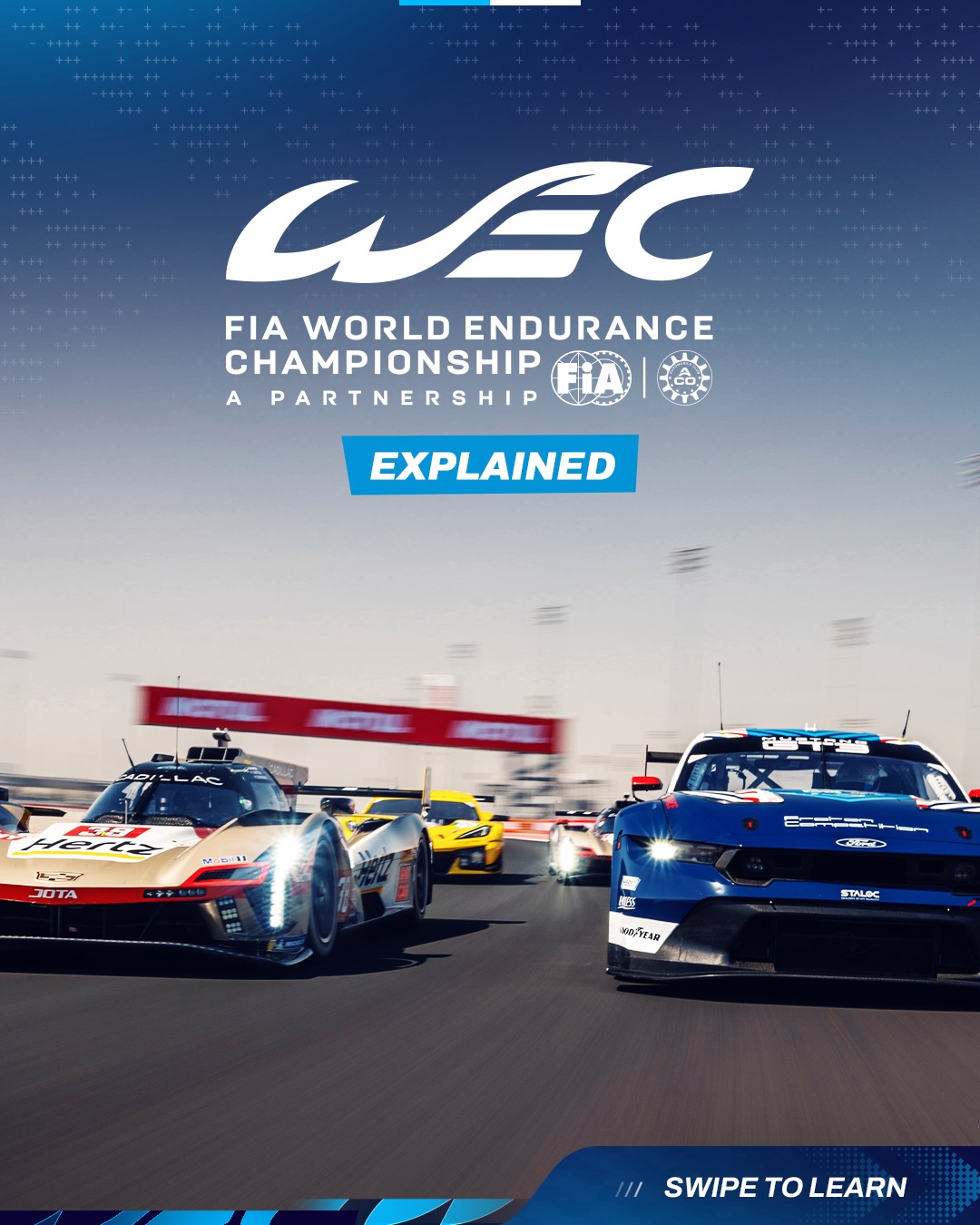 Welcome to WEC! 💪 Let’s get ready for 2026! If you’re new here or you just need a refresher, here’s 